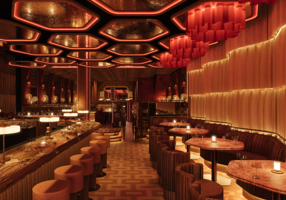 Cafe In The City Amsterdam Horeca Crowdfunding Nederland 105.JPG.png