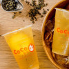 Coco Bubble Tea Horeca Crowdfunding 17.jpg
