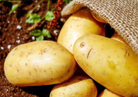 potatoes-vegetables-erdfrucht-bio-162673.jpg