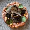 Mesa Mesa Amsterdam Restaurant Horeca Crowdfunding Nederland.png